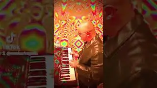 Yazoo - Don't Go (Parody Max Barbagallo)