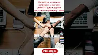Коллектив в котором комфортно и выгодно работать друг с другом построен по принципу семьи. 