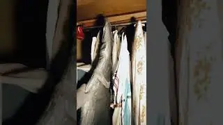 ПУК и в театре