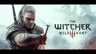 The Witcher 3 : The Wild Hunt