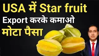 how to export star fruit from india I export star fruit I rajeevsaini I star fruit export