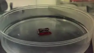 Видео 4.  Процесс 3D печати на первом российском биопринтере Fabion