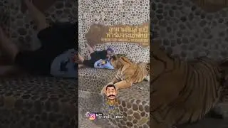 Malayalam comedy 🤣😂 troll mix 🔥 #comedy #troll @Appukuttanff YouTube shorts #youtubeshorts