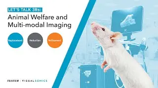 Let's Talk 3Rs: Animal Welfare and Multi-modal Imaging | FUJIFILM VisualSonics