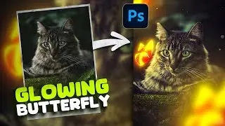 Glowing Butterfly - Photoshop Manipulation | Photoshop Compositing Tutorial | Photoshop