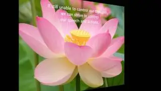 Meditation Music #5