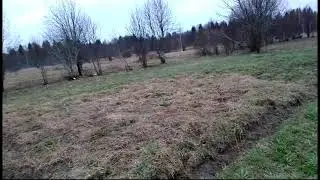 Прошелся по участку, нашел зайца!