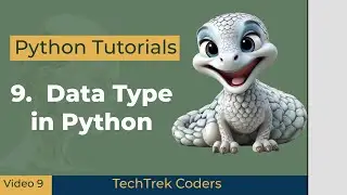 Python Tutorials 9: Data Type in Python