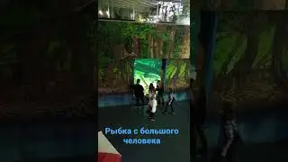 Москванариум, обитатели