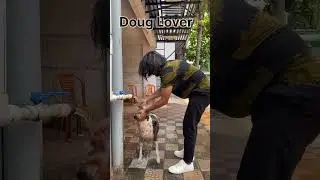 তোমারাও প্লিজ কোন ডগকে রাস্তার ধারে পেলে এভাবে চান করে দিও🦮