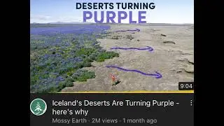 Bruhhh XD