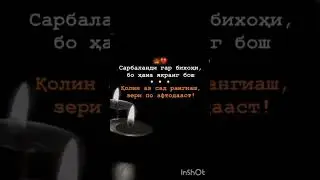 бо хама якранг бош!