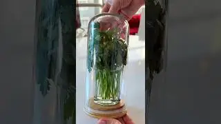 А ВЫ ЗНАЛИ ЭТОТ ЛАЙФХАК?👏😱