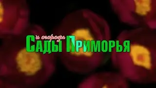 «Сады и огороды Приморья». НОЯБРЬ.