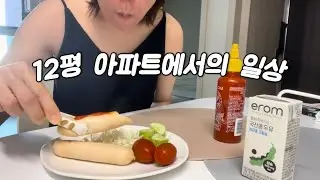 Vlog | 12평 아파트에서의 일상 | 집순이 일상