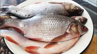Dry Fish Salting. The Most Delicious Dried Fish.