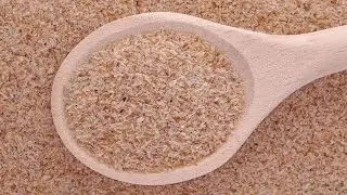 Psyllium o que é e quais os tipos