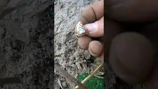 Пока вы играете в верю не верю, мы находим золото!🤟😎 