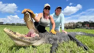Loading the Boat with Alligators on a WILD Louisiana Hunting Trip