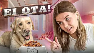 Testataan Mun KOIRAN Hermoja! 🐶