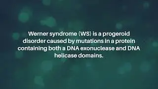 Proteomics Reveal Aging Differences in Werner Syndrome Mouse Model | Aging-US