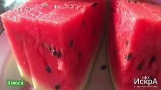 Арбуз 🍉 Мулат F1. Посев семян в грунт 12 апреля.