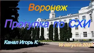Воронеж, прогулка по СХИ, 16 августа 2023 г
