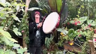 Karmwud in the karmwud in summer #loopstation #shamen #tropicalgardens Song 12th  album karmwud ⬇️