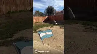 #bando4life #dogopower #dogopups #masterofallbulldogs #bandostyle #messi