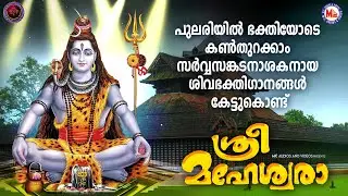 പുലരിയിൽ ഭക്തിയോടെ കൺതുറക്കാം സർവ്വസങ്കടനാശകനായ ശിവഭക്തിഗാനങ്ങൾ കേട്ടുകൊണ്ട് |Hindu Devotional Songs