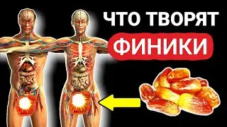 Всего 3 ФИНИКА В ДЕНЬ и запущены НЕОБРАТИМЫЕ ПРОЦЕССЫ...