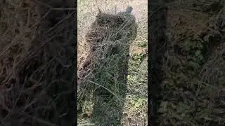 Хватит ли сил...