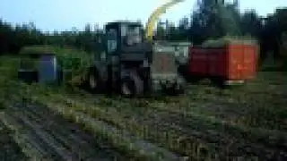 **~Silage~**   with , JD 5730  part 2   , Portugal .............