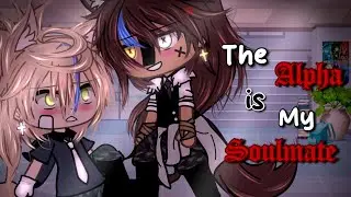 The Alpha is My Soulmate || BL/GAY || Gacha Life Mini Movie || GLMM ||