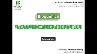 BIOQUÍMICA - IFMG Bambuí- VÍDEO AULA 10: Fotossíntese - PARTE 4