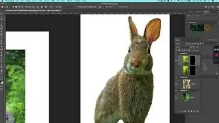 Photoshop 101  - basic masking with object selection