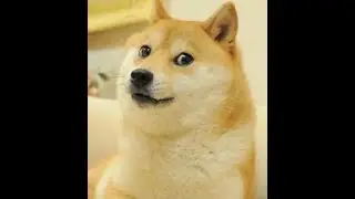 subscribe green screen hd (read desc)