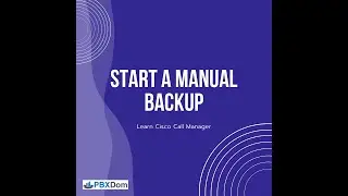 Start a Manual Backup