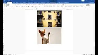Colocando BORDAS nas imagens do Word RAPIDAMENTE