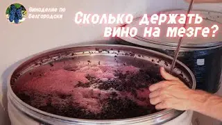 How long should wine be left on the pulp? What kind of wine will result depending on the macerati...