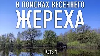 В поисках весеннего ЖЕРЕХА || ЧАСТЬ 1