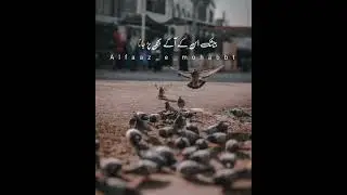 Islamic status videos |2023| #islamic #shortvideo videos