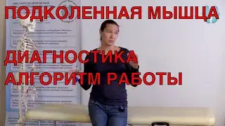 ПОДКОЛЕННАЯ МЫШЦА//АЛГОРИТМ РАБОТЫ С НЕЙ// ПРИКЛАДНАЯ КИНЕЗИОЛОГИЯ //ИКПК