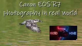 Canon EOS R7 photography in real world conditions