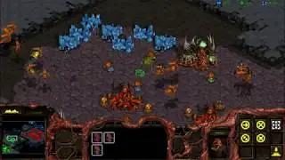 StarCraft: Additional Story Series - 1. Fury of the Swarm [R]
