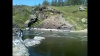 ревун
