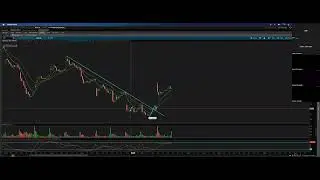 PFC: CAT 1571% GAIN (Trading Recap & Questions)