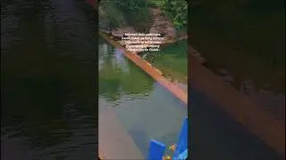 Keindahan Alam Indonesia - Citumang Pangandaran