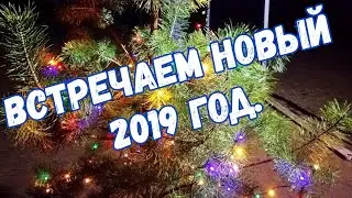 Встречаем новый 2019 год. Жарим мясо. Получаем подарки. Запускаем фейерверк.
