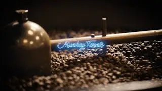 Showreel 2021-2022